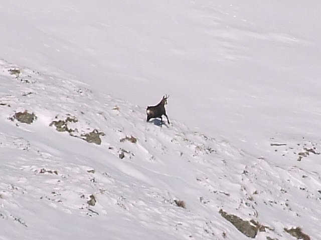 Laghi del Venerocolo (32)